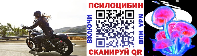 Галлюциногенные грибы Psilocybine cubensis Черемхово
