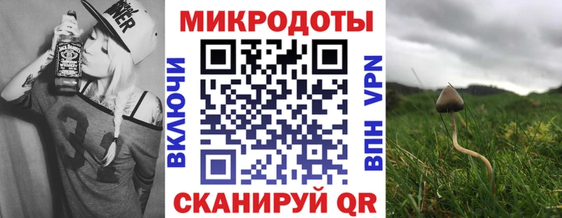 цена   Черемхово  Галлюциногенные грибы Cubensis 